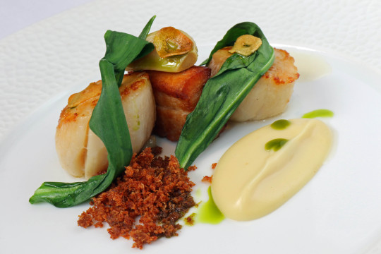 Roger Hickmans scallops pork belly textures of garlic wild garlic and bacon crumb sm