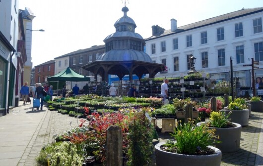 north walsham market